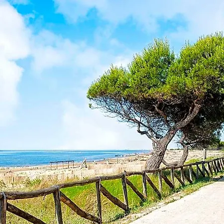 Lovely Flat Close To The Beach-beahost Hotel 3*